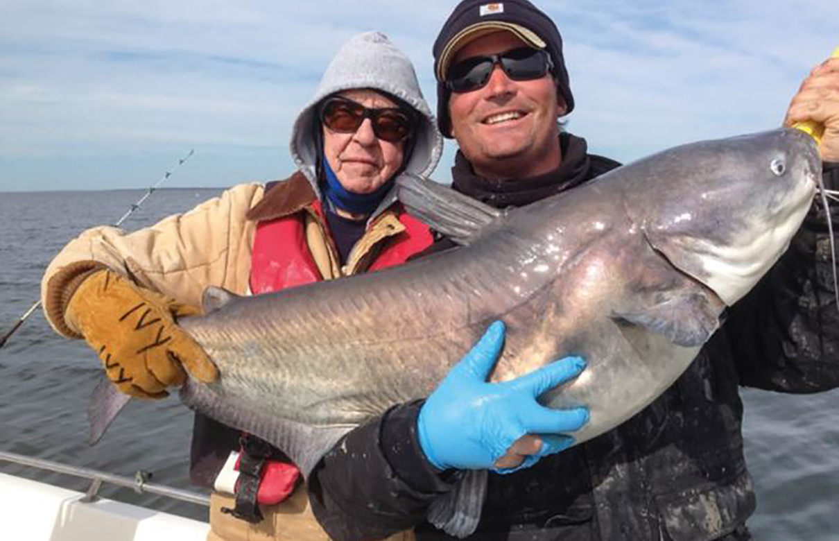 Catfish fight hard and grow to large sizes, making them one of the most sought after game fish. (Photo courtesy of Jack Vitek)