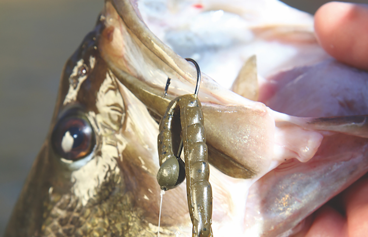 Using the proper lures for spring will result in successful days bass fishing. (Ron Sinfelt photo)