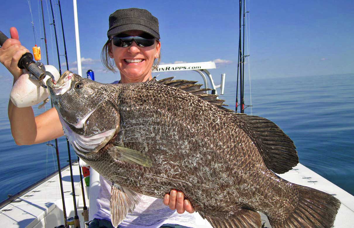 Jill Rapps caught this monster 22.5-pound tripletail on a live shrimp out of Chokoloskee while enjoying a rare day off with her husband, Capt Pete Rapps. (Photo courtesy of FloridaSportsman.com)