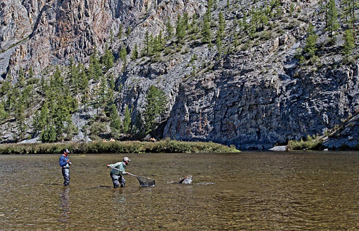 The author clamps down on a thrashing taimen as guide Jeff Forsee prepares to net the fish. (Earl Harper photo)