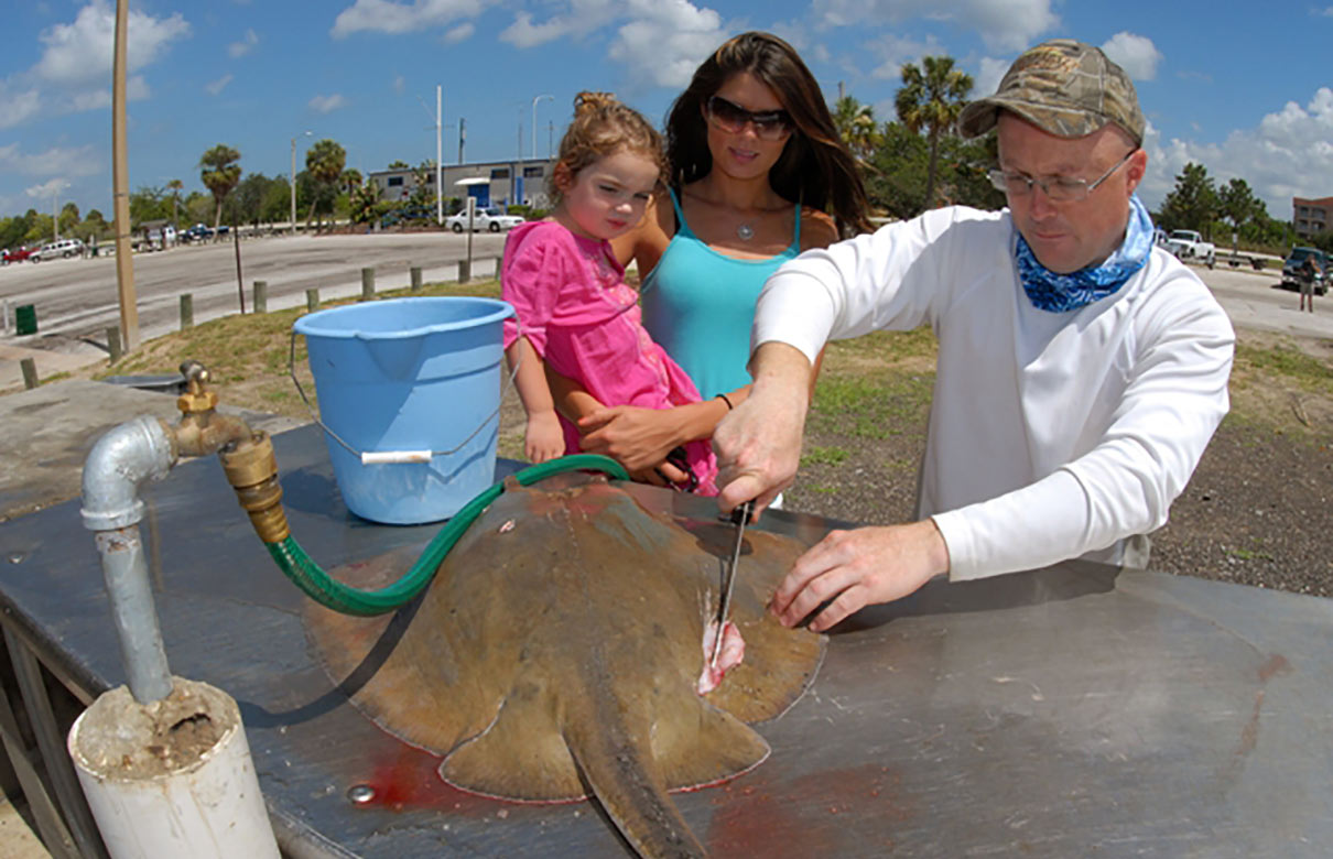 A scene you don't see too often – a stingray at the cleaning table. (Photo courtesy of FloridaSportsman.com)