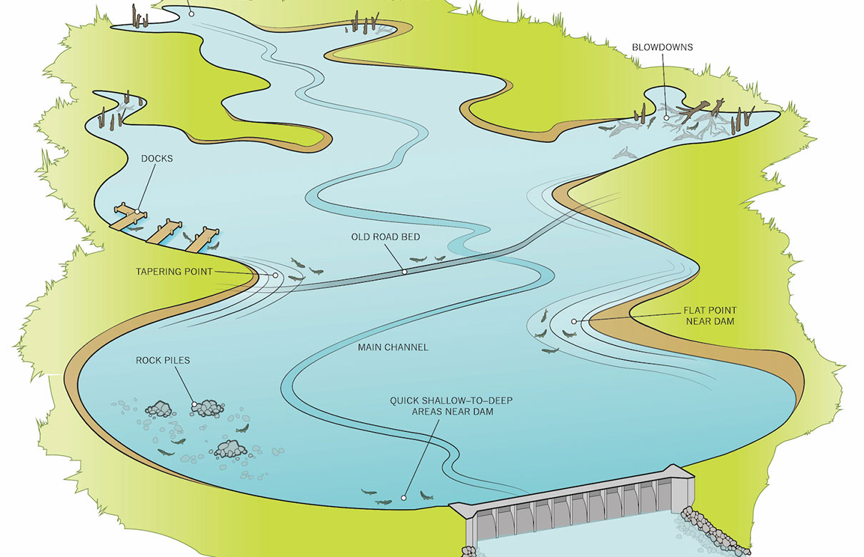 Learning to fish a new lake can be a daunting task for any angler. (Ryan Kirby Illustration)