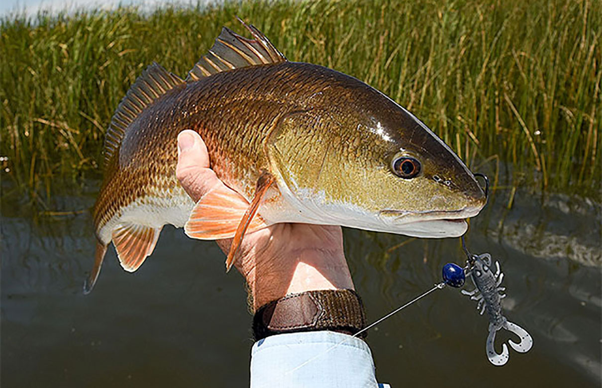 A swinghead jig tipped with a scented trailer is perfect for fishing hard-bottom shallow saltwater areas. (Rob Newell photo)